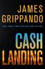 Cash_landing__a_novel