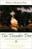 The_thunder_tree