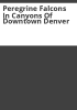 Peregrine_falcons_in_canyons_of_downtown_Denver