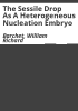 The_sessile_drop_as_a_heterogeneous_nucleation_embryo