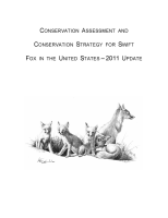 Conservation_assessment_and_conservation_strategy_for_swift_fox_in_the_United_States_-_2011_update