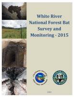 White_River_National_Forest_bat_survey_and_monitoring_-_2015
