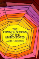 The_common_spiders_of_the_United_States
