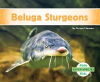 Beluga_Sturgeons