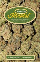 Marijuana_Harvest