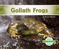 Goliath_frogs