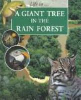A_giant_tree_in_the_rain_forest