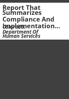 Report_that_summarizes_compliance_and_implementation_efforts