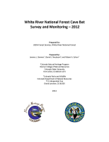 White_River_National_Forest_cave_bat_survey_and_monitoring