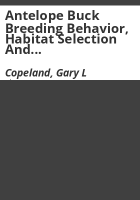 Antelope_buck_breeding_behavior__habitat_selection_and_hunting_impact