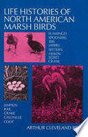 Life_histories_of_North_American_marsh_birds___Flamingo__spoonbill__ibis__jabiru__bittern__heron__egret__crane__limpkin__rail__crake__gallinule__coot