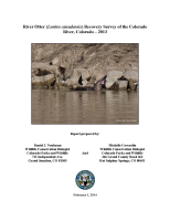 River_otter__Lontra_canadensis__recovery_survey_of_the_Colorado_River__Colorado_-_2013
