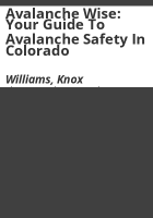 Avalanche_wise