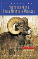 A_guide_to_photographing_Rocky_Mountain_wildlife