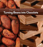 Turning_beans_into_chocolate