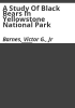 A_study_of_black_bears_in_Yellowstone_National_Park
